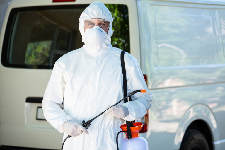 Rodent Control for Homes & Businesses