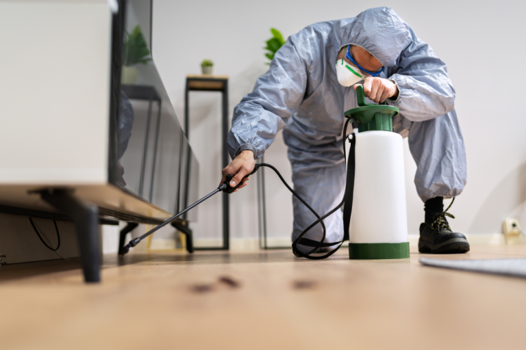 Bed Bugs: Causes, Symptoms & Effective Treatments